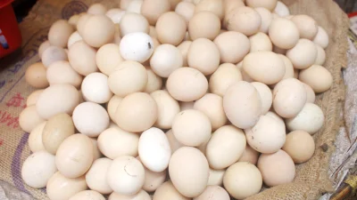 ছবি: ফোকাস বাংলা 
