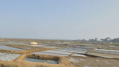 প্রতি মণ  লবণের দাম ৫০০ টাকা থেকে কমে ২৫০ টাকায়। ছবি: ইত্তেফাক