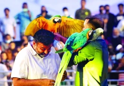 ম্যাকাও দুটিকে কাঁধে নিয়ে র&zwj;্যাম্প শোর মঞ্চে প্রবেশ করেন হাসান রাজা
