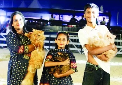 র&zwj;্যাম্প শোতে অংশ নেওয়া বিড়াল