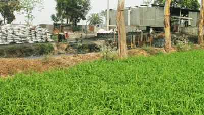 ছবি: ইত্তেফাক