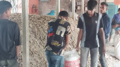 সিরাজগেঞ্জে উৎপাদিত হাড়ের গুড়ো যাচ্ছে দেশের ওষুধ কোম্পানিতে। ছবি: ইত্তেফাক