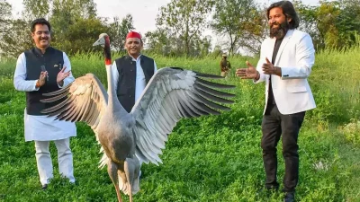 তিনি পাখিটির সঙ্গে একটি ছবিও তুলেছিলেন।