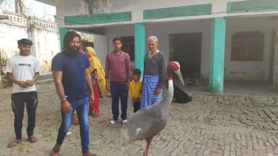 কৃষক মোহাম্মদ আরিফ পাখিটিকে সুস্থ করে তোলার পর তাদের মধ্যে গভীর বন্ধুত্ব গড়ে ওঠে।