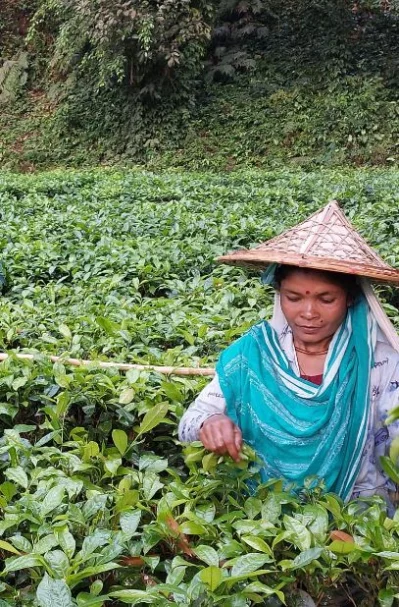 ছবি: ইত্তেফাক