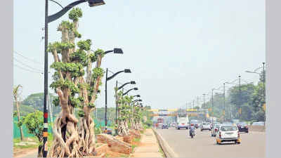 ফাইল ছবি -সংগৃহীত