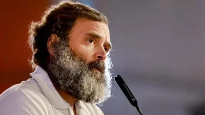 মানহানির মামলায় দুই বছরের কারাদণ্ডের একদিন পরেই রাহুলকে লোকসভা থেকে অযোগ্য ঘোষণা করা হয়।