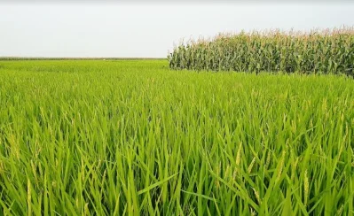 ছবি: ইত্তেফাক