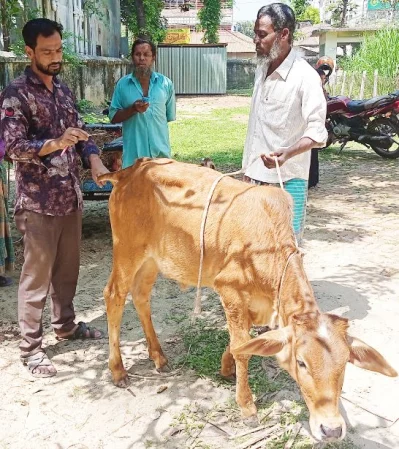 চিকিৎসক নেই, তাই চিকিৎসা দিচ্ছেন পিয়ন। ছবি: ইত্তেফাক