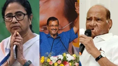 জাতীয় দলের স্বীকৃতি হারালো তৃণমূল কংগ্রেস।