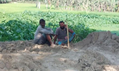 ফাইল ছবি 