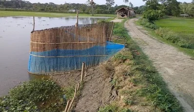 পানি নিষ্কাশনের কালভার্ট বন্ধ করে মাছ চাষ করছেন ঘের মালিকরা। ছবি: ইত্তেফাক