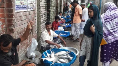 ফাইল ছবি