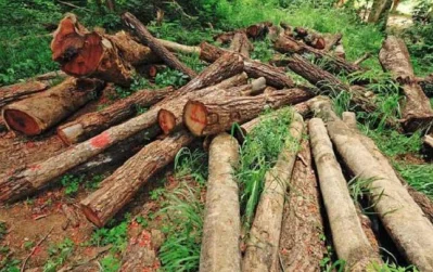 প্রতীকী ছবি