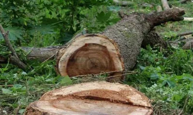 প্রতীকী ছবি