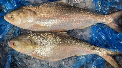 ছবি: ইত্তেফাক