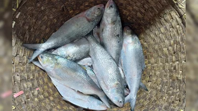 ছবি: ইত্তেফাক