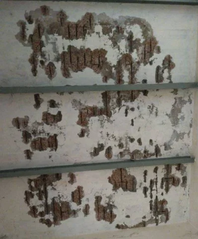 পলেস্তারা পড়া এসএম হলের ছাদ। ছবি: ইত্তেফাক