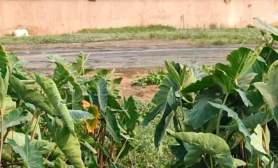 ছবি: ইত্তেফাক