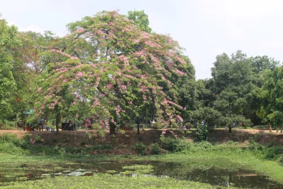 Erkaklar intim tana sanati fotosuratlari sochli odam katta sik