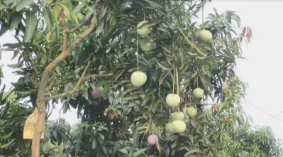 ছবি: ইত্তেফাক