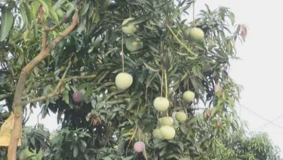 ছবি: ইত্তেফাক
