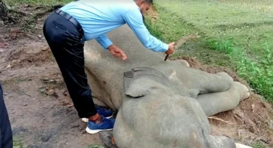 ছবি: ইত্তেফাক