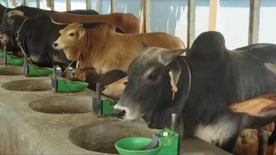 ছবি: ইত্তেফাক 