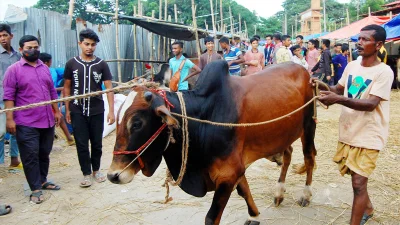 কমলাপুর হাট। ছবি: ফোকাস বাংলা