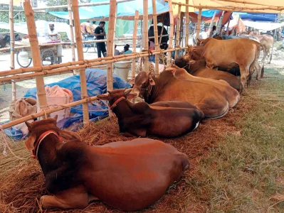 আফতাব নগর হাট। ছবি: ফোকাস বাংলা