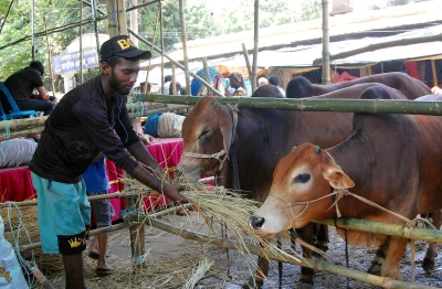 ছবি- ফোকাস বাংলা