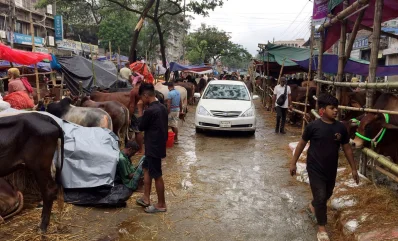 ছবি- ফোকাস বাংলা