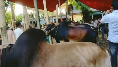 ছবি: ইত্তেফাক
