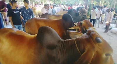 ছবি: ইত্তেফাক