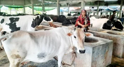 ছবি: ইত্তেফাক
