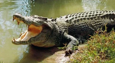প্রতীকী ছবি