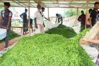 ছবি: আজহার উদ্দিন, ইত্তেফাক