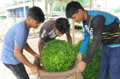 ছবি: আজহার উদ্দিন