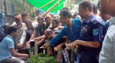 ছবি: সংগৃহীত