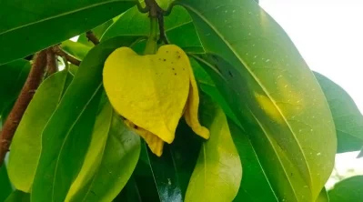 ছবি: ইত্তেফাক
