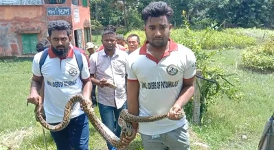 পরিত্যক্ত বাড়ি থেকে অজগরটি উদ্ধার করা হয়। ছবি: ইত্তেফাক 