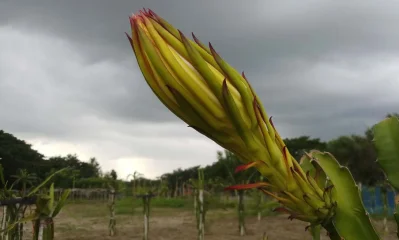 ছবি: ইত্তেফাক