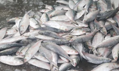 ছবি: ইত্তেফাক