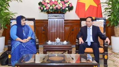 ভিয়েতনাম পররাষ্ট্রমন্ত্রীর সঙ্গে বিদায়ী সাক্ষাতে বাংলাদেশ রাষ্ট্রদূত সামিনা নাজ।