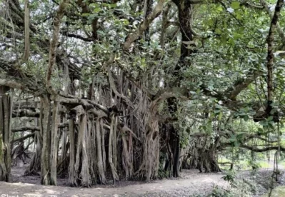 ছবি: ইত্তেফাক 