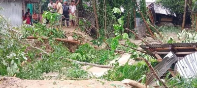 বন্যার পানিতে মাটি নরম হয়ে অনেক গাছ উপড়ে পড়েছে। ছবি: ইত্তেফাক 