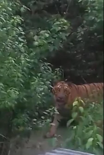 ছবি ভিডিও থেকে