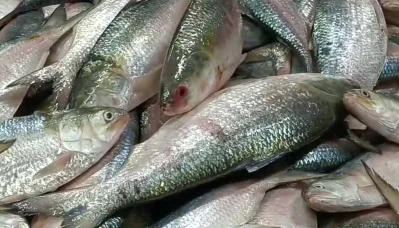 ছবি: ইত্তেফাক 
