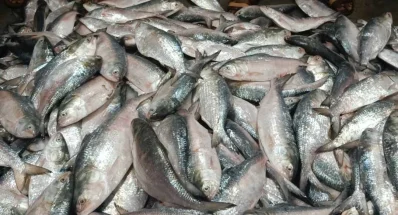 ছবি: ইত্তেফাক