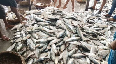 ছবি: ইত্তেফাক